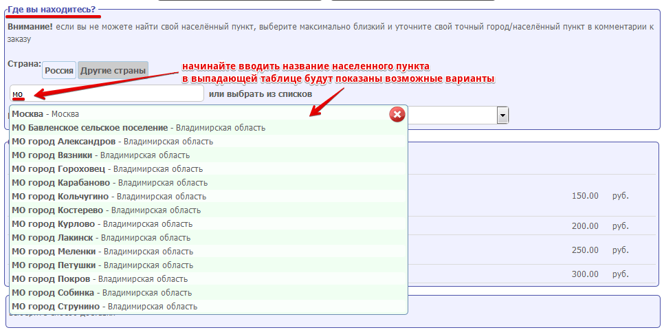 Оформление заказа на аксессуары для часов в интернет-магазине remeshok66.ru